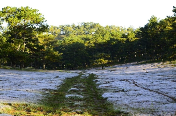 Bốn đồi cỏ cho người mê cắm trại từ bắc vào nam