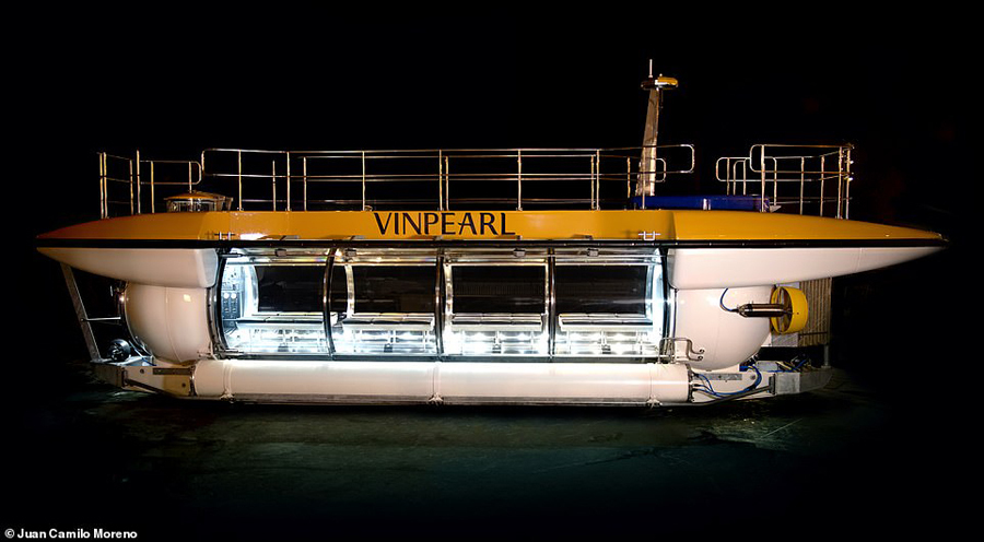 Đại diện đơn vị cho biết, DeepView24 là tàu ngầm du lịch trang bị nhiều tiến bộ công nghệ nhất được bán ra thị trường trong suốt 2 thập kỷ qua. Tàu ra đời nhằm đáp ứng nhu cầu của khách du lịch yêu thích các kỳ nghỉ phiêu lưu.