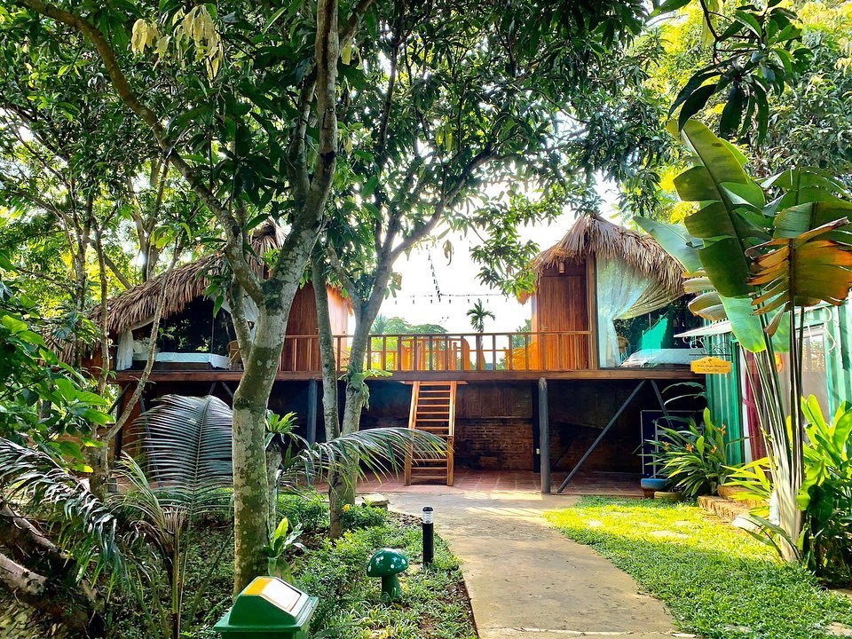 Khuôn viên rợp bóng cây xanh ở May Tropical. Ảnh: Fanpage May Tropical Villas.