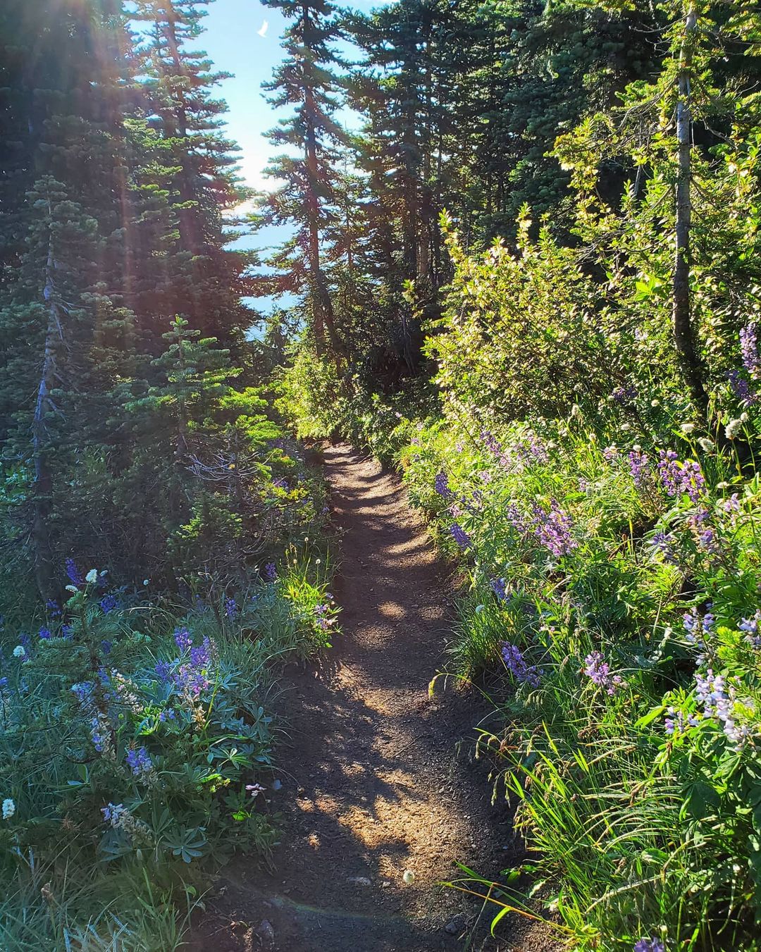 Olympic Peninsula Loop, USA: 300 miles, 798 pictures per mile Looking to end right where you began? Drive the Olympic Peninsula Loop, which takes you around the perimeter of Olympic National Park. Make sure to stop along the way for plenty of photo ops.