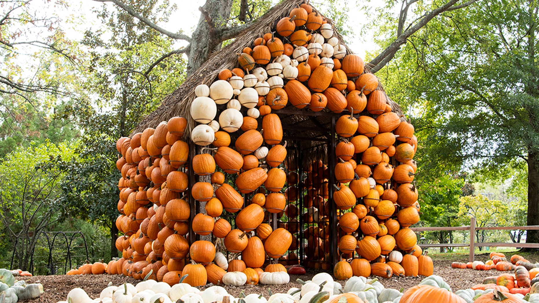 Cheekwood Harvest