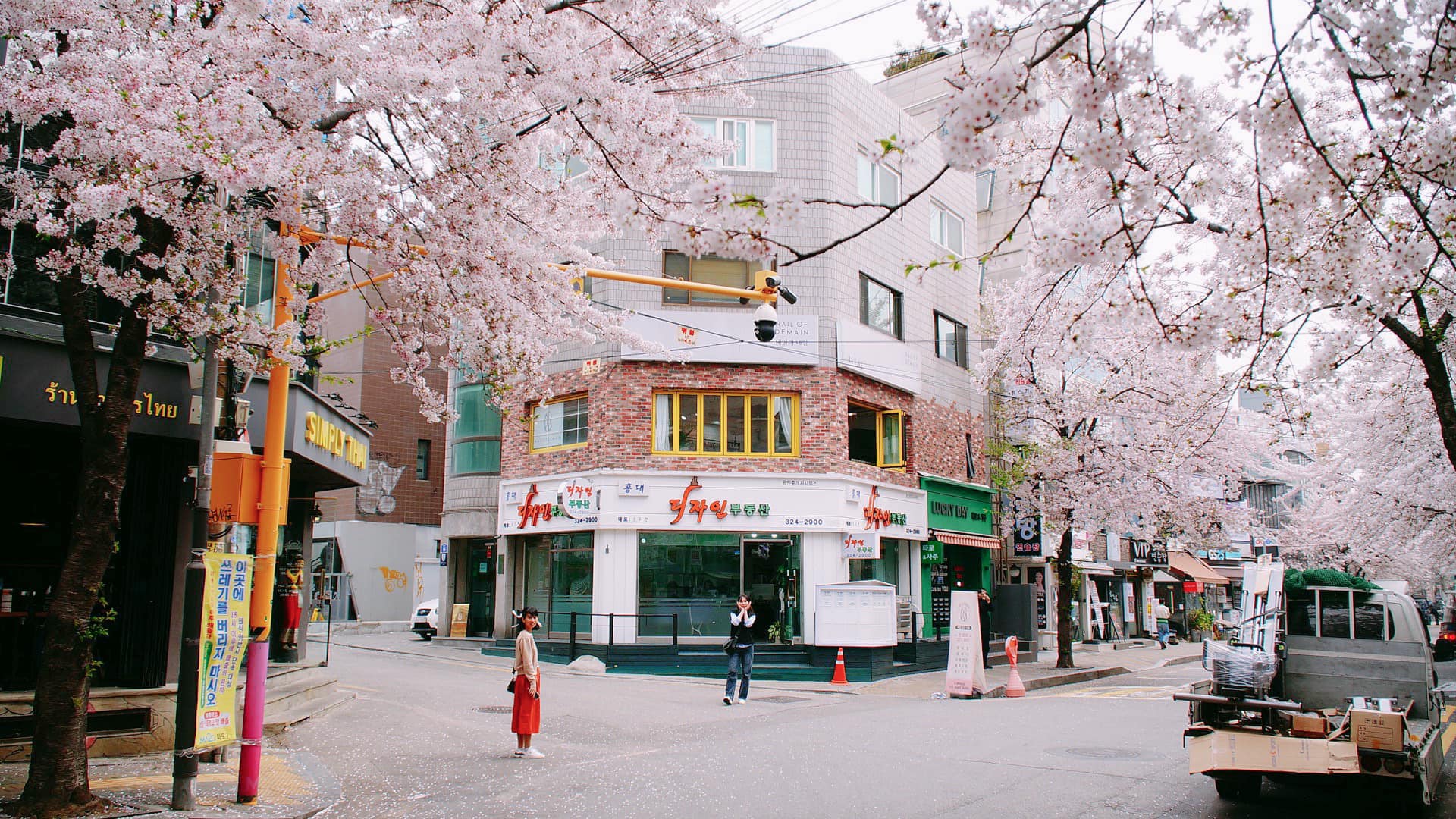 Khách Việt đến Seoul săn hoa anh đào vào đầu tháng 4. Ảnh: Kim Anh